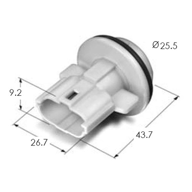 BULB HOLDER CONN'T ASSY(D)