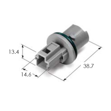 LICENCE PLATE LAMP WP B/H ASSY (19.00)
