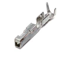 N064 Female TML(L)