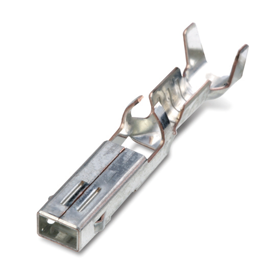 NEW 070 FEMALE TML_A TYPE (DW)